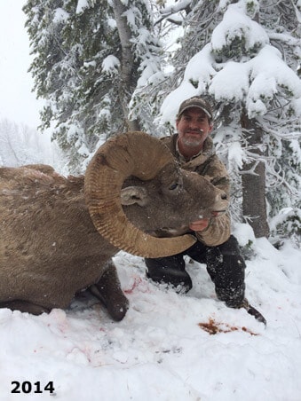 Big Horn Sheep Yeti Tumbler - Shop Wyoming