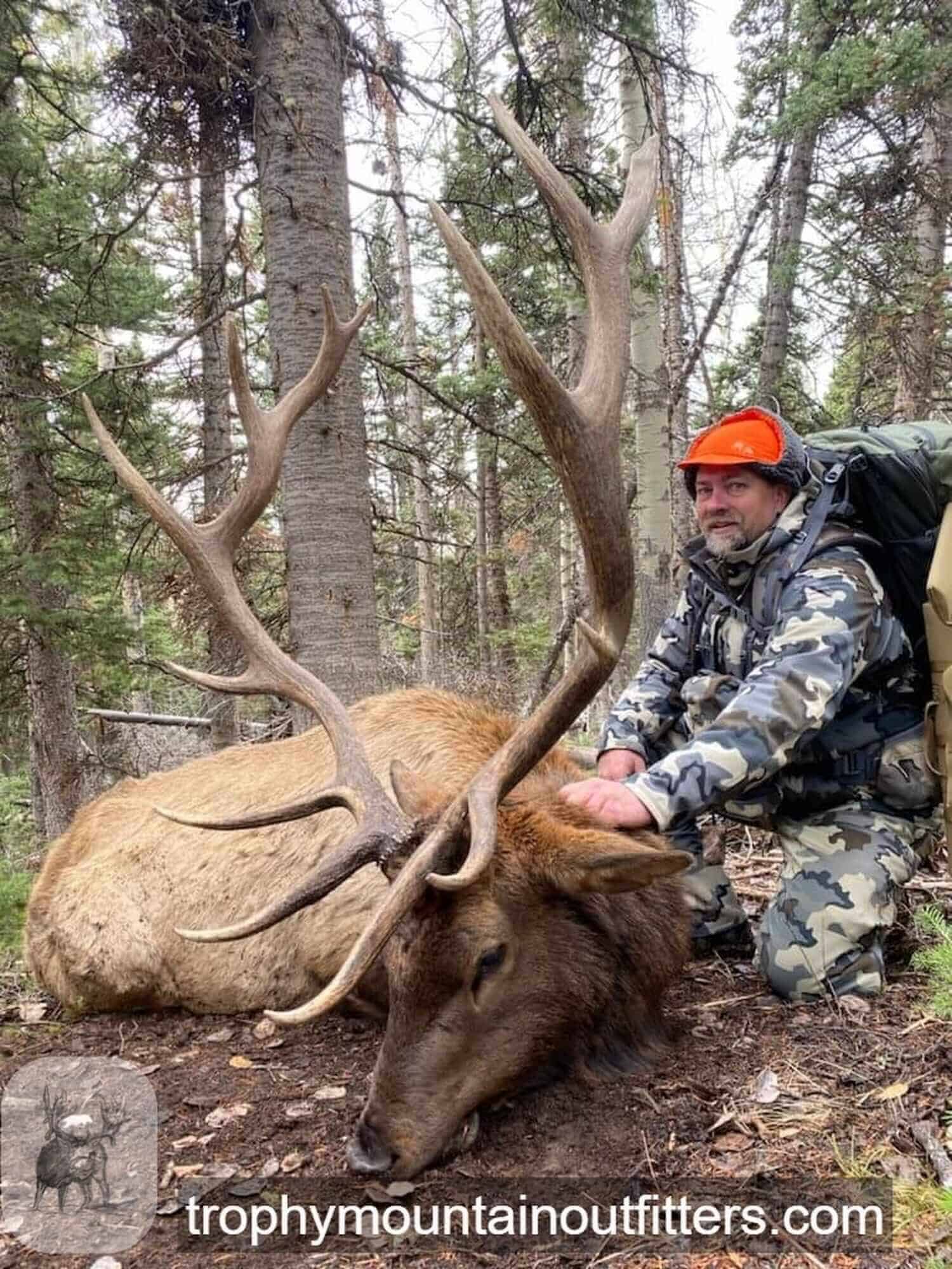 Wyoming Elk Hunting