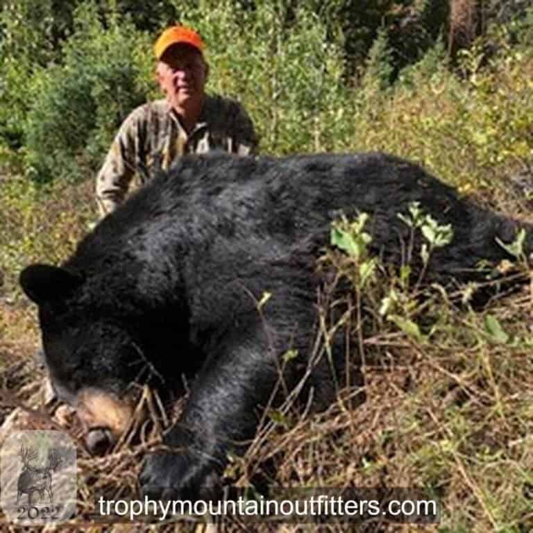 Wyoming Black Bear Hunt